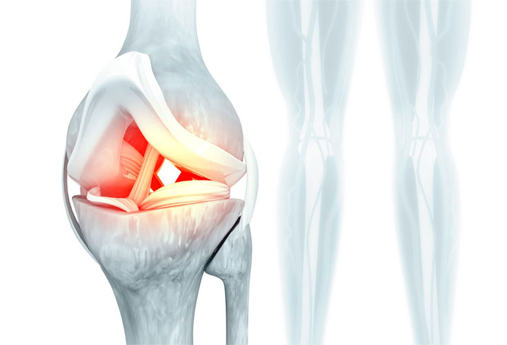 Vai trò của dây chằng chéo trước khớp gối