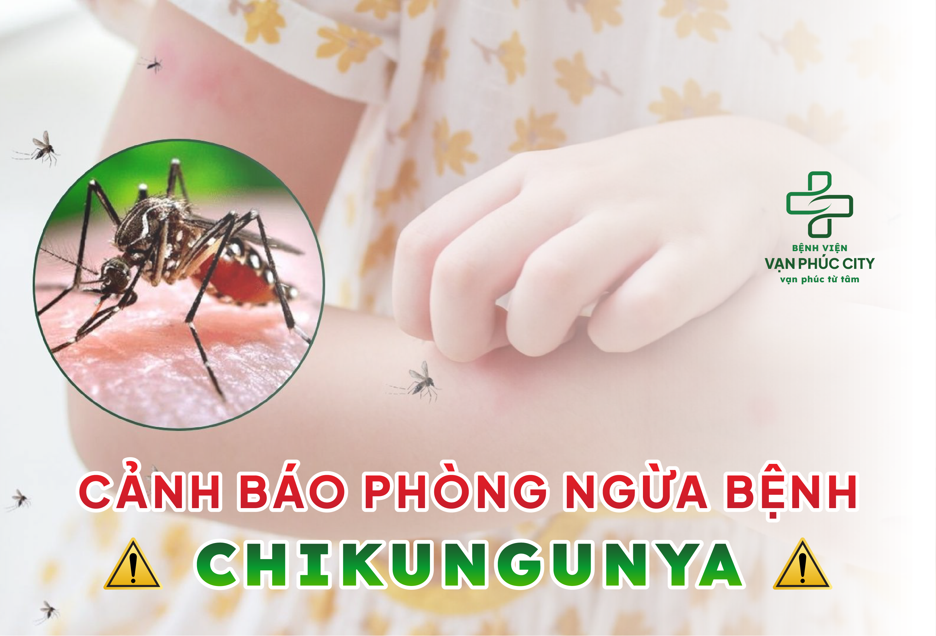 CHIKUNGUNYA - CẢNH BÁO DỊCH BỆNH BÙNG PHÁT VÀ NHỮNG ĐIỀU CẦN BIẾT