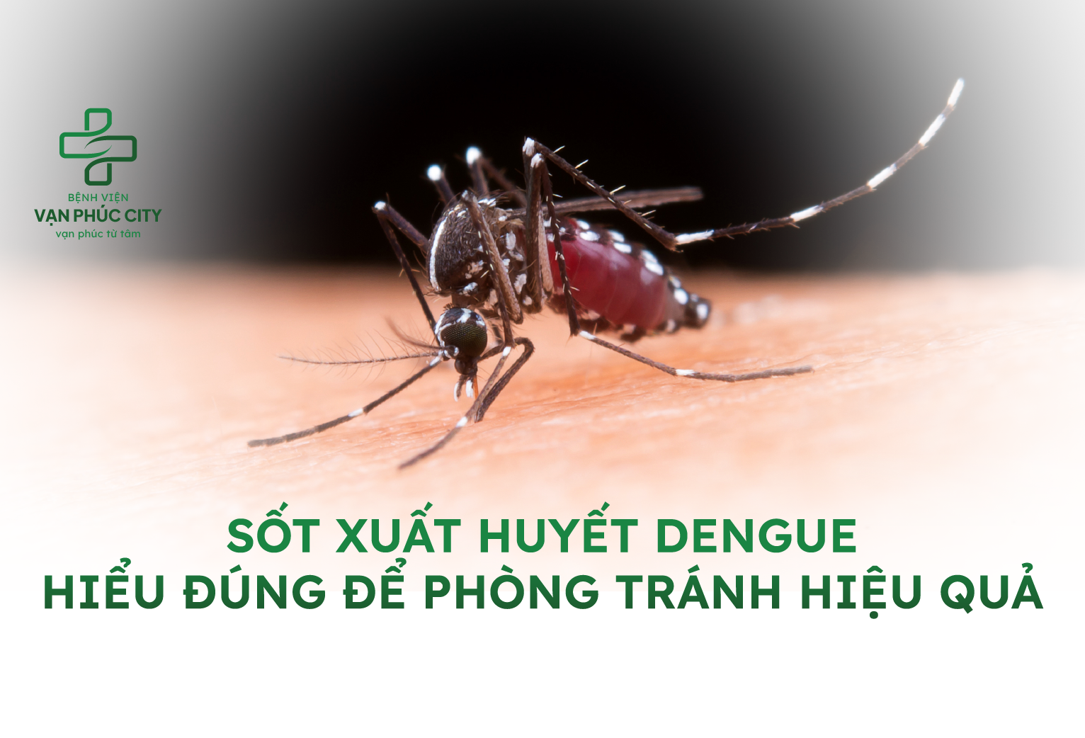 SỐT XUẤT HUYẾT DENGUE: HIỂU ĐÚNG ĐỂ PHÒNG TRÁNH HIỆU QUẢ